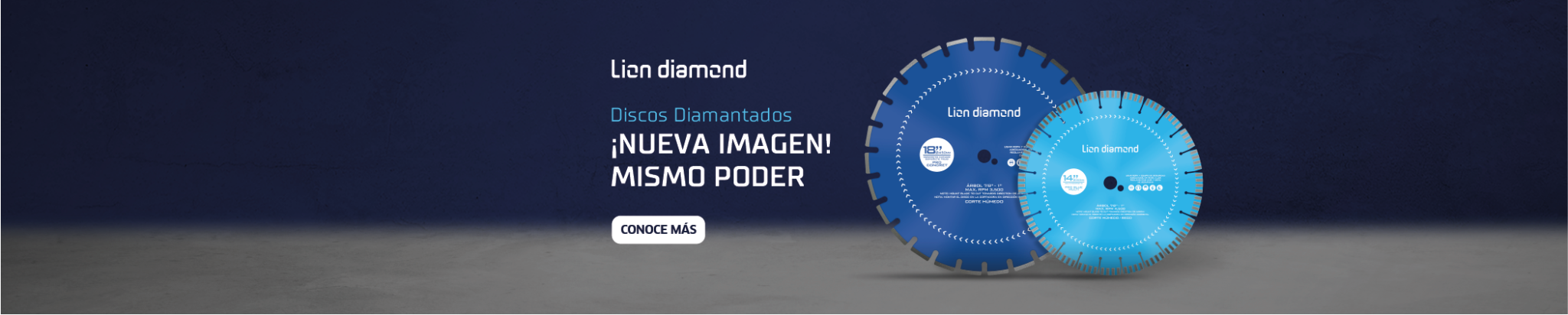 lion-diamond-new-image-2023 (1)