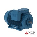 Eficiencia Premium IE3 Duty w22 - Weg