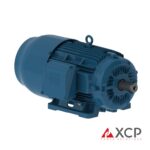 IE3 Eficiencia Premium w22- Weg