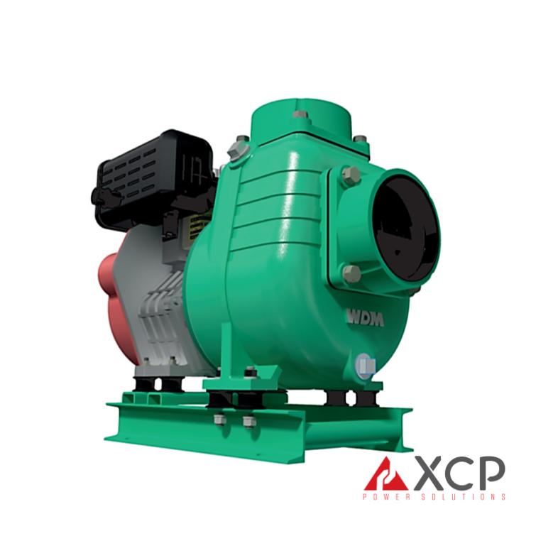 Serie AD - Barnes - Image 2