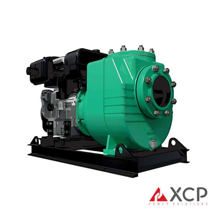 Serie AD - Barnes - Image 3