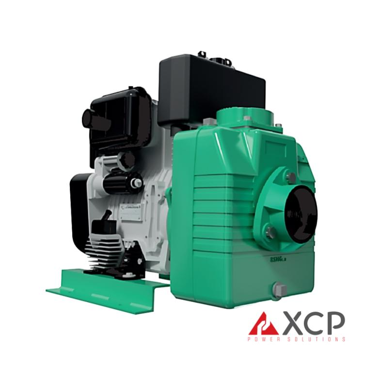 Serie AD - Barnes - Image 4