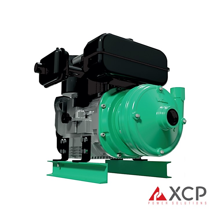 GD – Barnes - Image 2