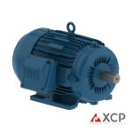 Nema eficiencia Premium - Weg